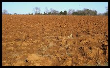 Red Clay of Piedmont. Color photo.